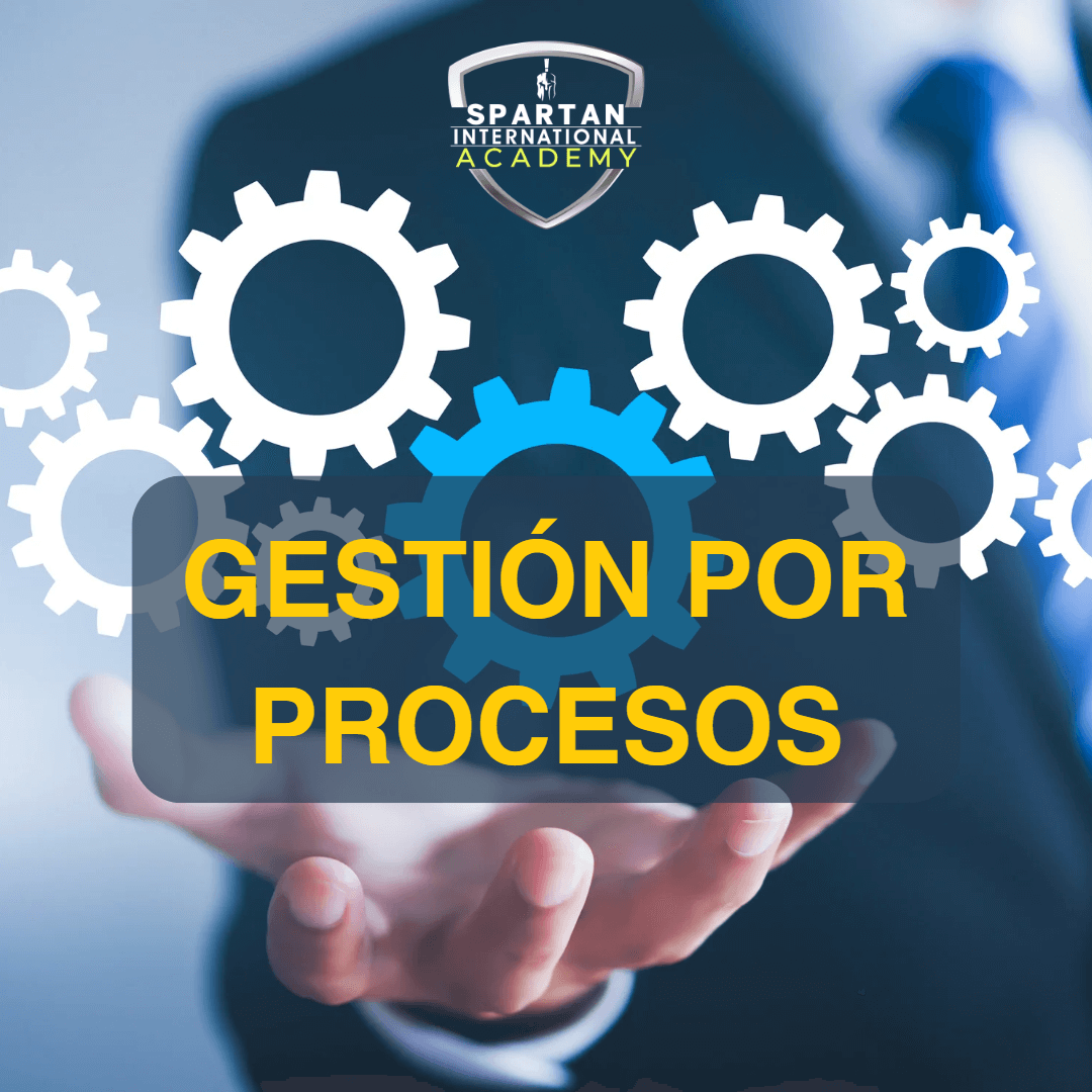 Gestión por procesos OpenPyme (GGP Champion)